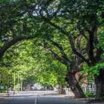 வீடுகளை பூட்டி வைக்குமாறும் ஆஸ்திரேலிய மக்களுக்கு விசேட எச்சரிக்கை!