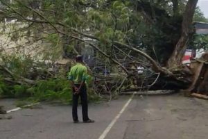 இலங்கையர்களுக்கு விசேட தொலைபேசி இலக்கம் அறிமுகம்
