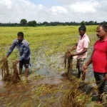 அனுராதபுரதில் மனைவியை சித்திரவதை செய்து வந்த பொலிஸ் கான்ஸ்டபிள் கைது