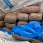 யாழில் நத்தார் கொண்டாட்டங்கள் : நள்ளிரவில் திருப்பலி ஒப்புக்கொடுக்கப்பட்டது!