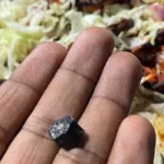 அவுஸ்திரேலியாவில் இடம்பெற்ற விபத்தில் இலங்கையர் ஒருவர் பலி