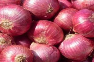 புது மாப்பிள்ளைக்கு பிறந்தநாள்… மனைவி என்ன போட்டாங்க தெரியுமா?