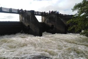 அமெரிக்க குடியுரிமைக்கு விண்ணப்பிப்பவர்களுக்கான அறிவித்தல்!