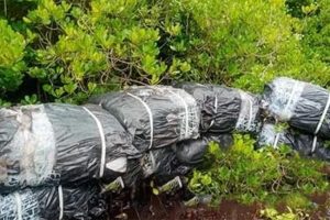 புதிய விதிகளின்படி புகலிடக்கோரிக்கையாளர்களை ருவாண்டாவிற்கு அனுப்ப முடியும்! அமைச்சர் கிறிஸ் பில்ப்!