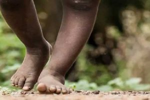 இலங்கையில் பேருந்து கட்டணங்களும் அதிகரிக்கப்படும்!