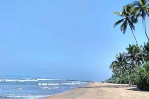 செவ்வாய் கிரகத்தில் மனித நகரம் : மஸ்க் போடும் திட்டம்!