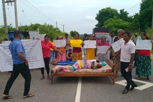 “பாக்ஸ்-ஆபிஸ் சுனாமி” அடித்து துவம்சம் செய்யும்  அனிமல்
