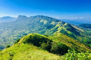 அமெரிக்காவில் இஸ்ரேலிய தூதரகத்திற்கு வெளியே தீக்குளித்த நபர்