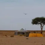ரஷ்யா சென்ற இந்திய வெளியுறவுத்துறை அமைச்சர்