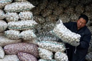 கிரிக்கெட்டில் புது புரட்சியை ஏற்படுத்துவோம் – ஜனாதிபதி ரணில் விக்கிரமசிங்க