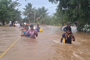உணவினால் ஏற்பட்ட தகராறால் மனைவியை கொன்ற 85 வயது அமெரிக்கர்