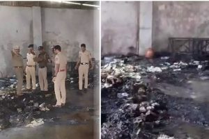 கனடாவில் கிர்னி பழத்தை சாப்பிட ஐவருக்கு நேர்ந்த சோகம்!