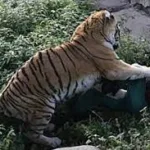 போர் முடிந்த பிறகு காசாவின் பாதுகாப்பிற்கு இஸ்ரேல் பொறுப்பு : நெதன்யாகு