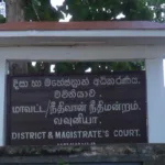 பிரேசிலில் லொரி மீது சுற்றுலா பேருந்து மோதி பயங்கர விபத்து: 25 பேர் பலியான சோகம்!