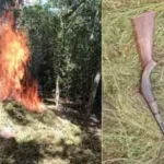 குழந்தைகள் இருப்பதற்கு மிகவும் ஆபத்தான இடம் காசா : யுனிசெஃப்