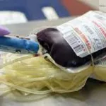 அமெரிக்காவில் இரு இந்திய மாணவர்கள் உயிரிழப்பு!