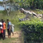 நைஜீரியாவில் விபத்துக்குள்ளான படகு … 8 பேர் மரணம்; 100 பேர் மாயம்!