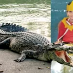 தாய்லாந்து பட்டாசு ஆலை விபத்து – பலி எண்ணிக்கை 23ஆக உயர்வு