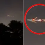 போரில் பங்கேற்க கப்பெரிய பயிற்சியை தொடங்கும் நேட்டோ