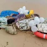 மாலத்தீவு வெளியுறவுத்துறை மந்திரி- ஜெய்சங்கர் இடையே சந்திப்பு