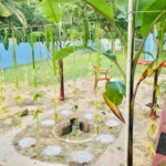 யாழ்ப்பாணம் உள்ளிட்ட முக்கிய நகரங்களில் காற்றின் தரம் குறைவு