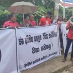 பொதுமக்களுக்காக மீண்டும் திறக்கப்பட்ட யால தேசிய பூங்கா