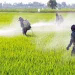 தென்கொரியாவிற்கு வேலைக்குச் சென்ற இலங்கை இளைஞர்கள் குழு