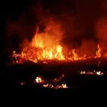 இரண்டு மகள்களுடன் விமான விபத்தில் உயிரிழந்த ஹாலிவுட் நடிகர்
