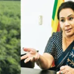 இந்தியாவில் இருந்து இலங்கைக்கு கடத்தப்படவிருந்த வலி நிவாரண மாத்திரைகள் மீட்பு!