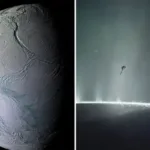இலங்கையில் தொடரும் போராட்டம் – கடும் நெருக்கடியில் நோயாளிகள்