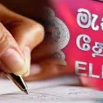 அமெரிக்காவில் நடிகர் சிரஞ்சீவிக்கு நடத்தப்பட்ட  கோலாகல பாராட்டு விழா…