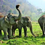 நடிகருடன் ரகசிய உறவில் இருக்கும் விவாகரத்தான நடிகை? வருடத்திற்கு ஒரு ஆளாம்…