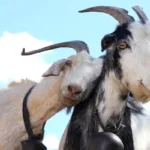 இலங்கை காலநிலையில் மாற்றம் – பொது மக்களுக்கு முக்கிய அறிவிப்பு