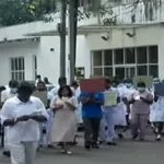 இந்தியாவின் புனே நகரில் கொசு புயல்!