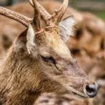 பிரான்ஸில் ஈபிஃள் கோபுரத்தை மூடி போராட்டம்!