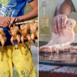 ஹங்கேரியின் ஜனாதிபதி பதவி விலகுகிறார்