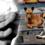 சிலாபத்தில் புகையிரத பாதையை மறித்து மக்கள் போராட்டம்!