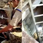 அதிபர் ஜோ பைடன் உடல்நலம் குறித்து வெளியான தகவல்!