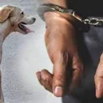 TikTok சமூக ஊடகத்தில் இணைந்தார் பைடன்!