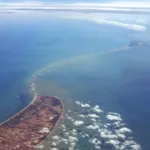 ஜம்மு-காஷ்மீர் எல்லையில் ஹோலி கொண்டாடிய பாதுகாப்புப் படையினர்