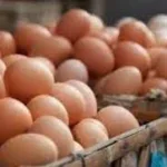 இலங்கையில் பேக்கரி பொருட்களின் விலையை குறைக்க திட்டம்!