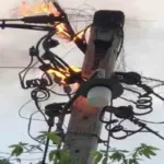 இயக்குநர் ராஜமவுலிக்கு சப்ரைஸ் கிப்ட் கோடுத்து அசத்திய ஜப்பானிய மூதாட்டி!