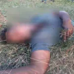 பிரேசிலில் டெங்கு காச்சலுக்கு 390க்கும் அதிகமானோர் பலி!!