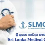 சிங்கப்பூர் பொருளாதாரத்திற்கு ஆபத்தாக மாறும் வெப்பம்