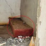 ஹைட்டிக்கு 5000 சர்வதேச பொலிஸ் அதிகாரிகள் தேவை – ஐ.நா நிபுணர்