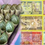 நியூஸிலாந்தில் விரைவில் அமுலுக்கு வரும் தடை