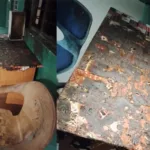 பாலியில் விடுமுறையை கழிக்க சென்ற தம்பதிக்கு நேர்ந்த துயரம்