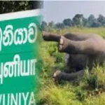 பப்லுவுடன் பிரிவு… காரணத்தை போட்டுடைத்தார் ஷீத்தல்..  இதெல்லாம் ஒரு மேட்டராடா???