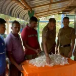 ஐக்கிய அரபு எமிரேட்ஸுக்கு  முக்கிய விஜயத்தை மேற்கொண்ட மூத்த ஹிஸ்புல்லா அதிகாரி