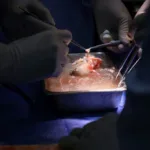 இஸ்ரேலுக்கான புதிய ஆயுத ஏற்றுமதி அனுமதியை முடக்கிய  கனடா